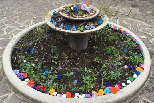 I fiori blu sbocciati alla fontana della scuola primaria di Madignano